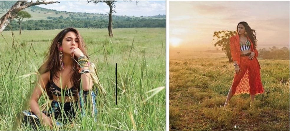 बॉलीवुड की न्यू सेंशन और सैफ अली खान की बेटी सारा अली खान राजनीति में अपना करियर बनाना चाहती हैं।