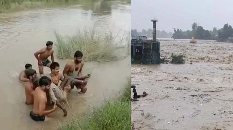 खटीमा: देवहा नदी में बड़ा हादसा! जानवारों का चारा लेकर लौट रहे बुजुर्ग की डूबने से मौत